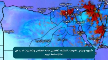 شبورة ورياح.. الأرصاد تكشف تفاصيل حالة الطقس وتحذيرات لا بد من الانتباه لها اليوم